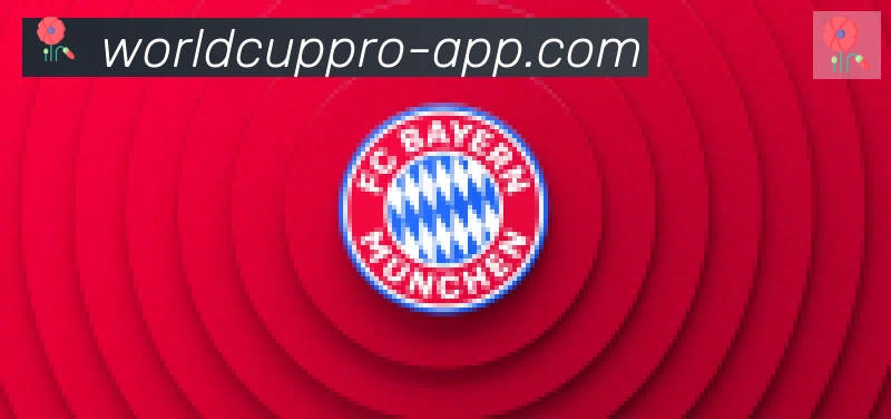 2026世界杯APP下载合作伙伴