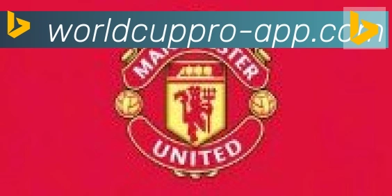 2026世界杯APP下载合作伙伴